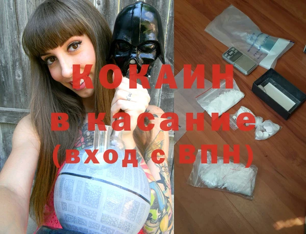 шишки Нязепетровск