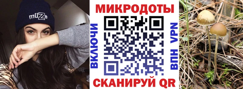 как найти наркотики  Жердевка  Галлюциногенные грибы ЛСД 